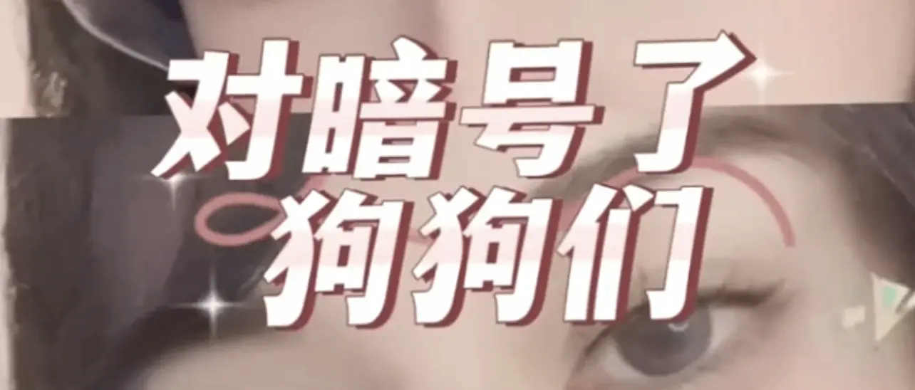 西檬之家-Sub是什么？字母圈角色与SSC原则全解析
