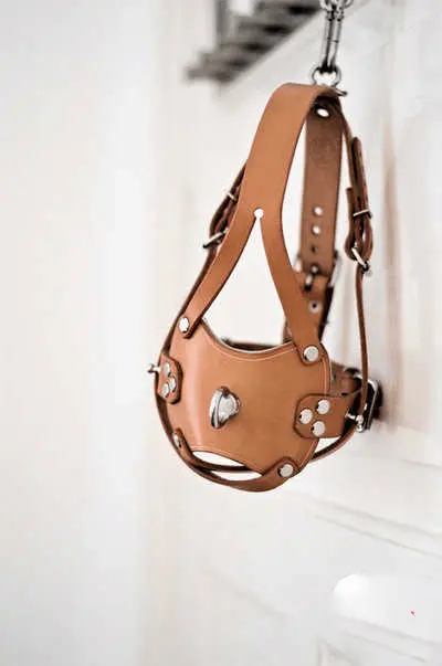 西檬之家-女王入门指南：BDSM中的权力与守护