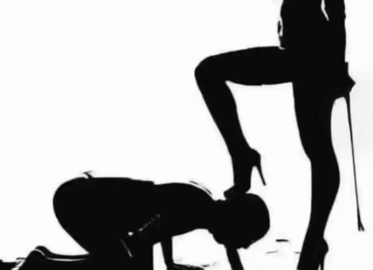西檬之家-K9是什么？揭秘字母圈犬系角色与BDSM安全实践