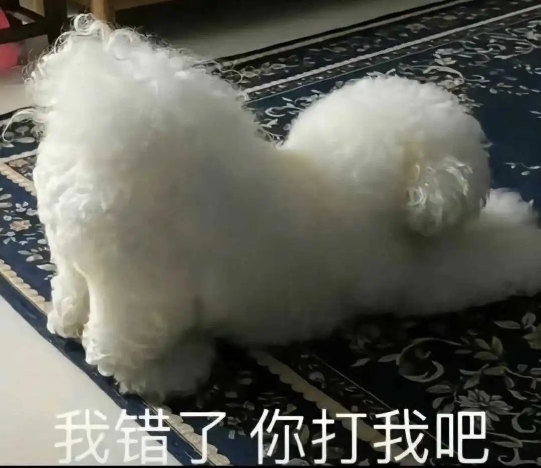 西檬之家-践踏癖是什么？字母圈新人入门指南与SSC原则