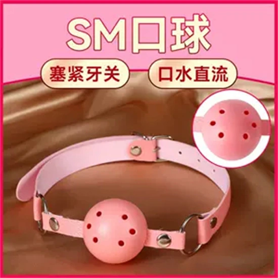 【西檬之家】字母圈新人入圈必读：解析DS关系核心与安全准则