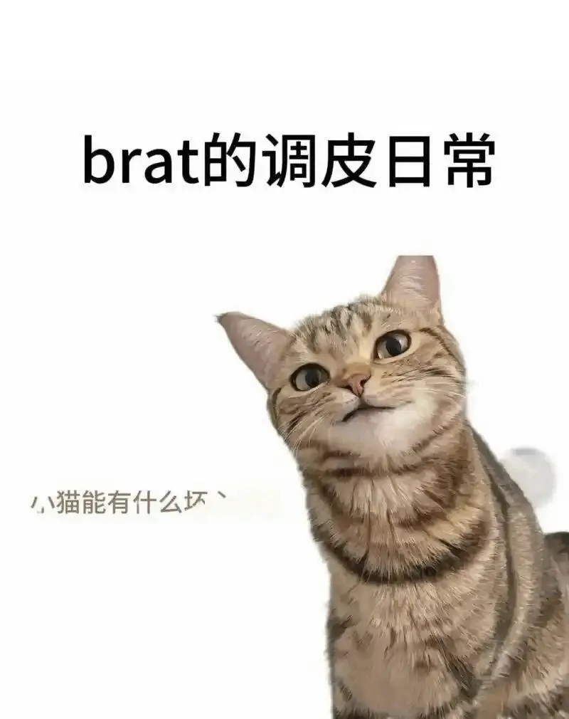 【西檬之家】Brat属性解析：字母圈中那个爱“作”的Sub是怎么回事