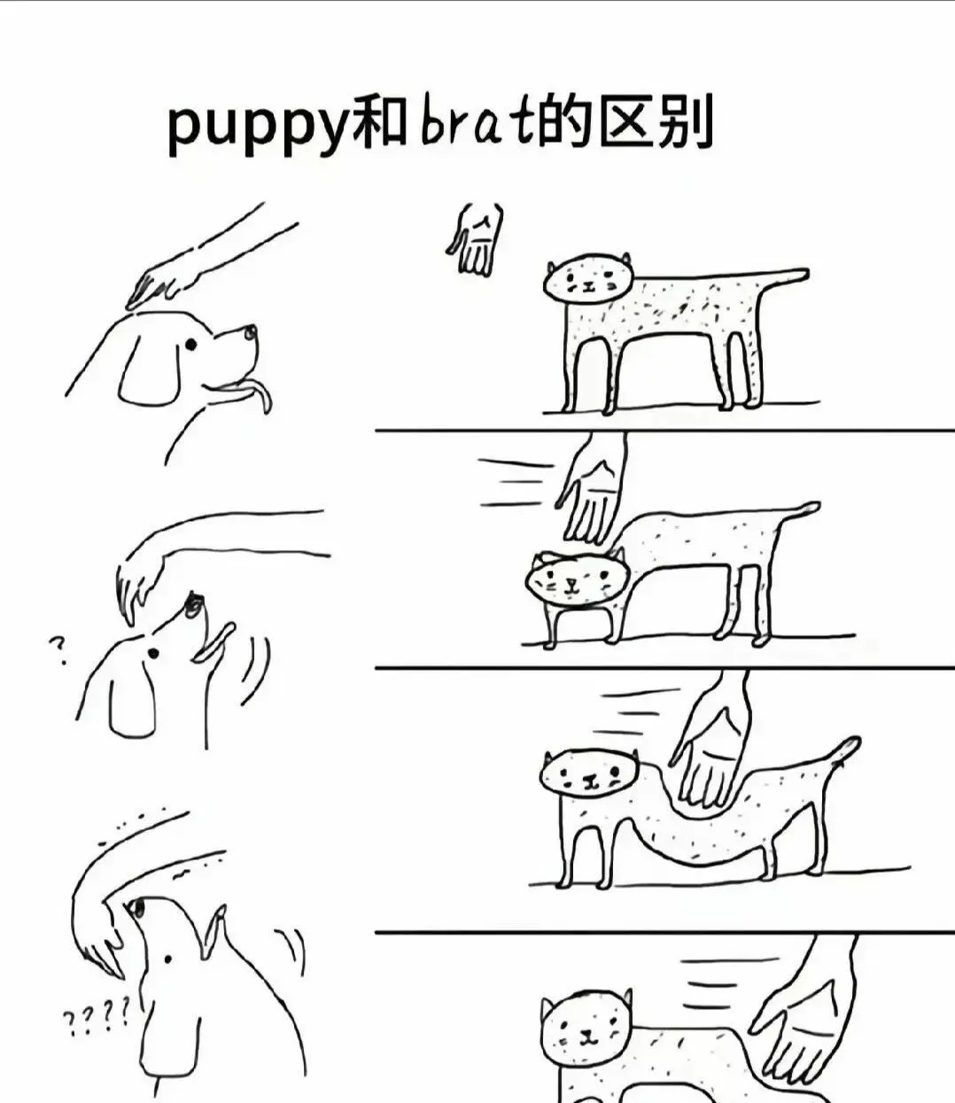[西檬之家] 字母圈新人入圈指南：理解BDSM核心术语与基础