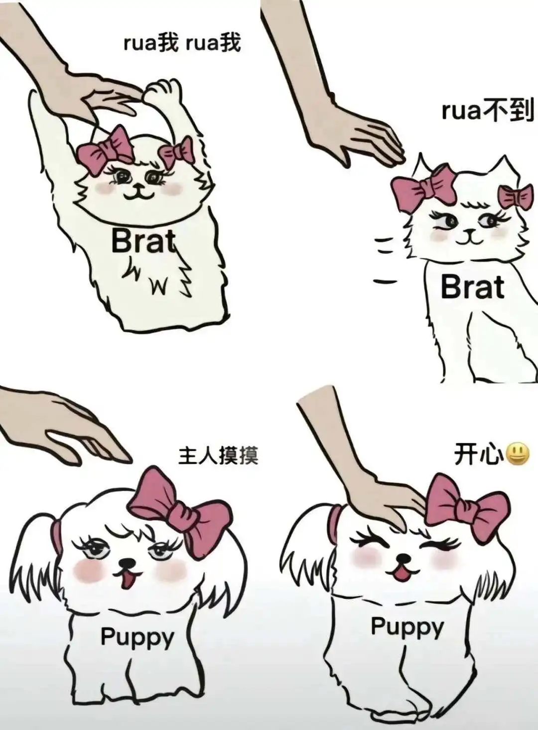 西檬之家-字母圈入门科普：Sub是什么意思？