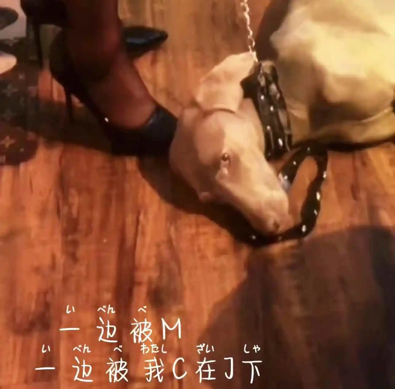 西檬之家-BDSM入圈指南：新手如何安全入门