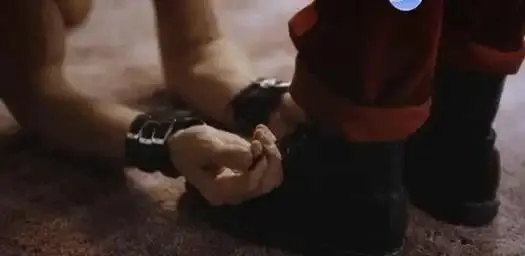 【西檬之家】BDSM新人必读：如何理解K9犬系角色？