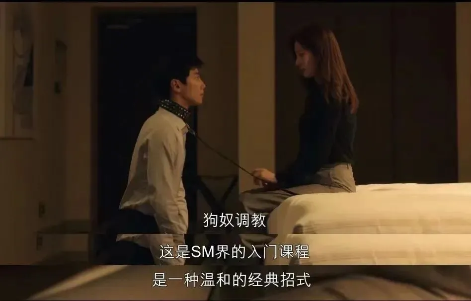 【西檬之家】DT是什么？字母圈新人入圈指南