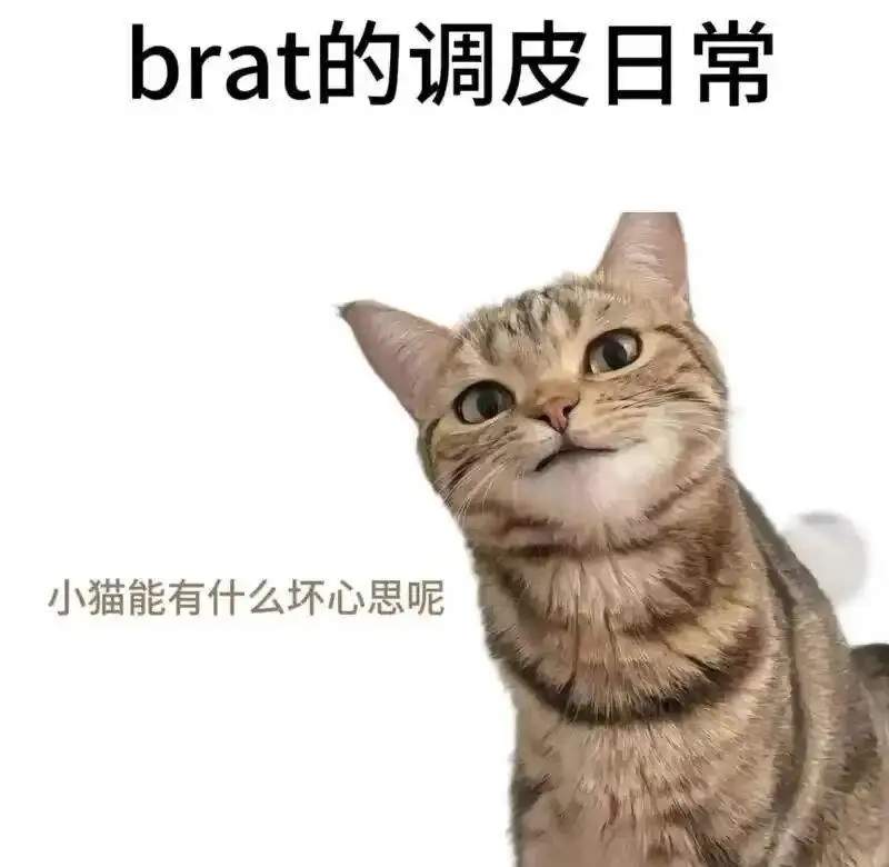 【西檬之家】斯慕圈是什么？BDSM新人入圈的权威入门指南