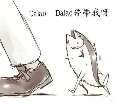 西檬之家-DS关系深度解析：从基础术语到实践指南